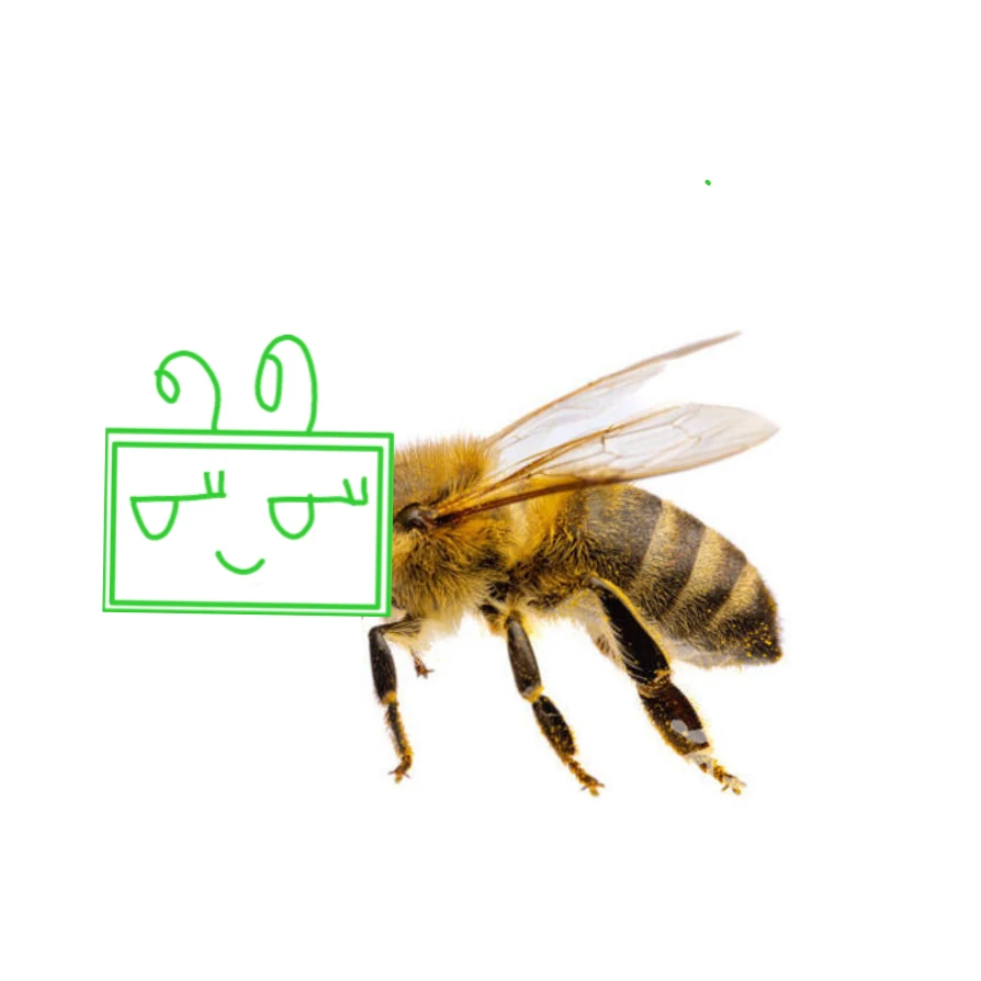 비 (Bee)