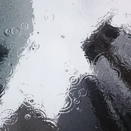 Riii의 #의 제물에서, #의 신부가 되다.