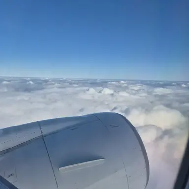 Profile image of 공룡