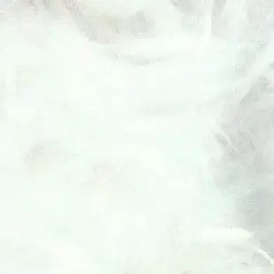 Profile image of 시리우스K