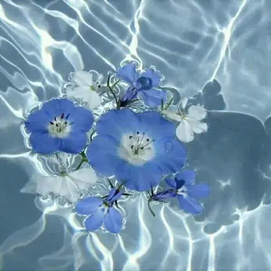 Profile image of 잠뜰