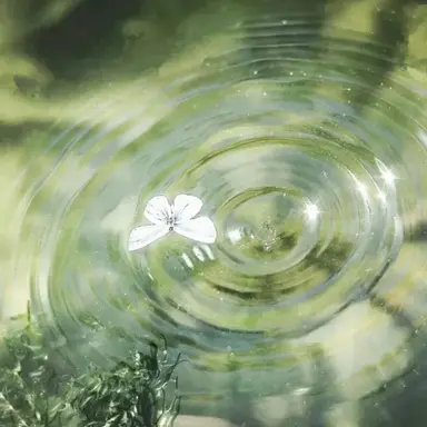 Profile image of 공룡