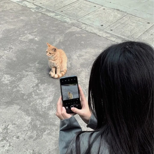 한지유