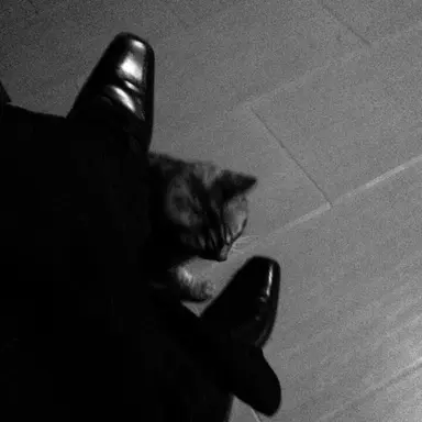 Profile image of 장시호