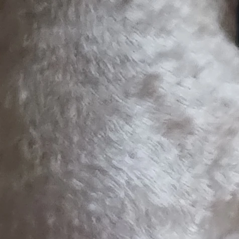 승원