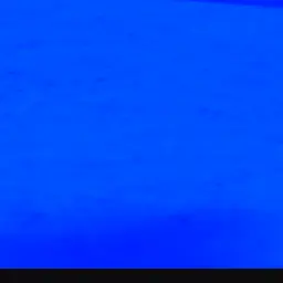 Profile image of もみじ