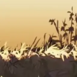 Profile image of 홍루