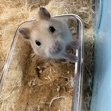 Profile image of 김준완