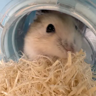 Profile image of 우주