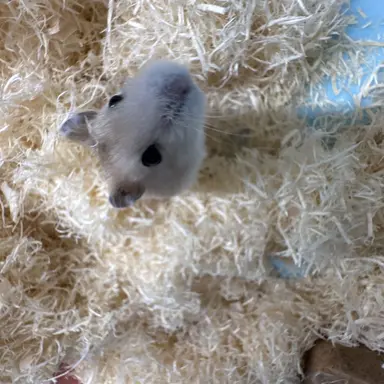 Profile image of 이익준