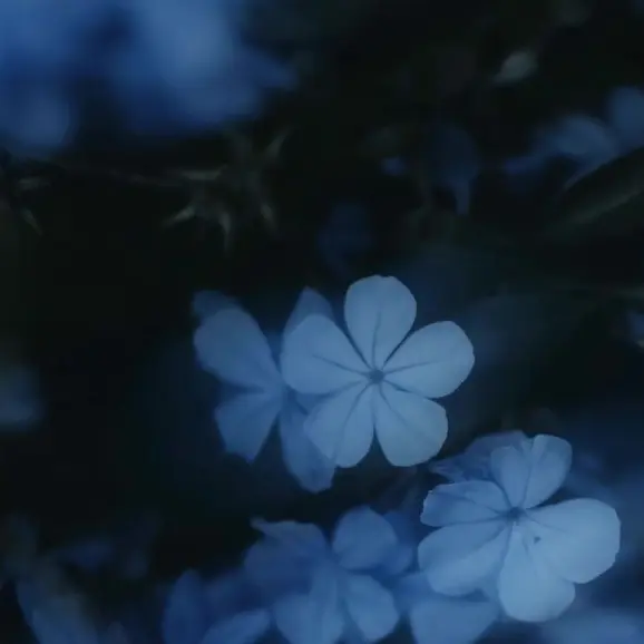 sa1ki_0816의 누오오옹오오오오옹ㅇㅇㅇ