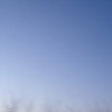 Profile image of 이익준