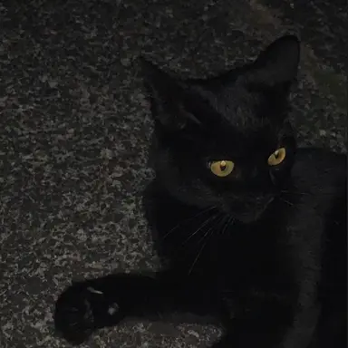 Profile image of 쿠빈