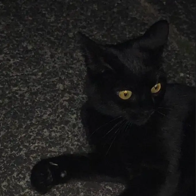 LavishComic0571의 쿠빈