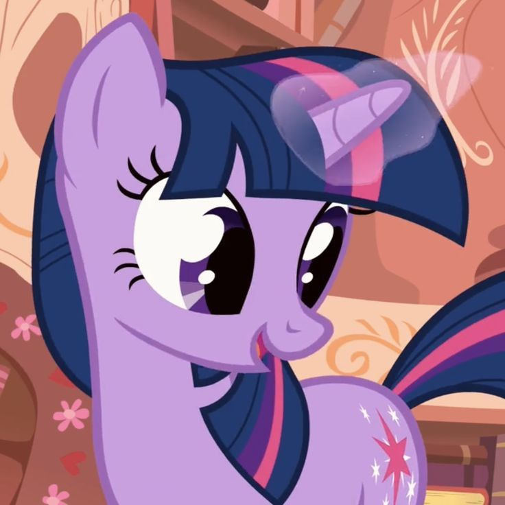MLP 대표 이미지