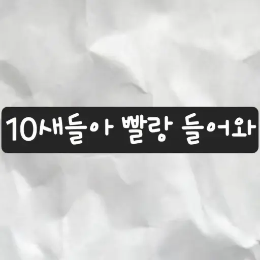 NewLevel0240의 4-5단톡 들어와 짭새야
