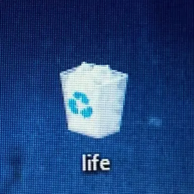 Profile image of D