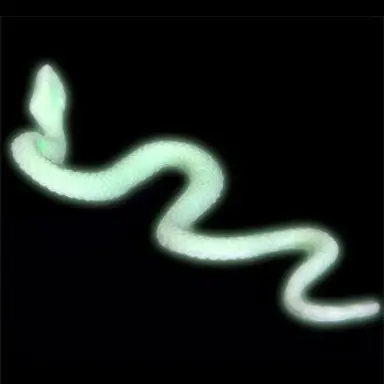 Profile image of 산이비