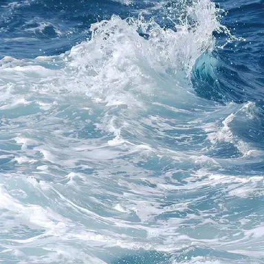 Profile image of 李時安