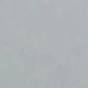 Profile image of 유기사