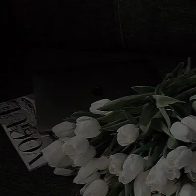 Profile image of user