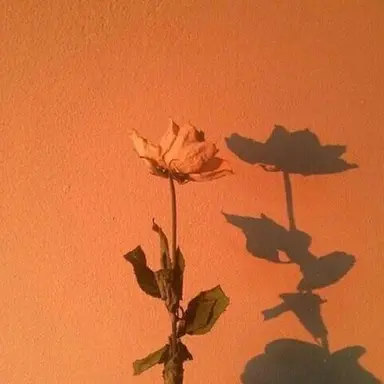 Profile image of 덕개