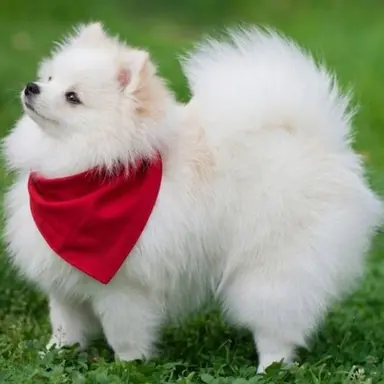 Profile image of 청휘