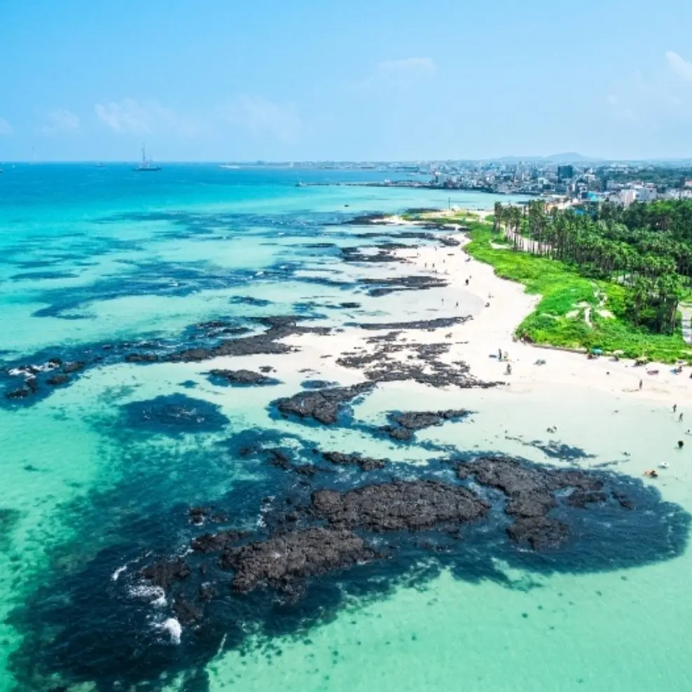 StaleStork3874의 민쩌미,대학교,숏드,음악,시룡음악학ㄱ