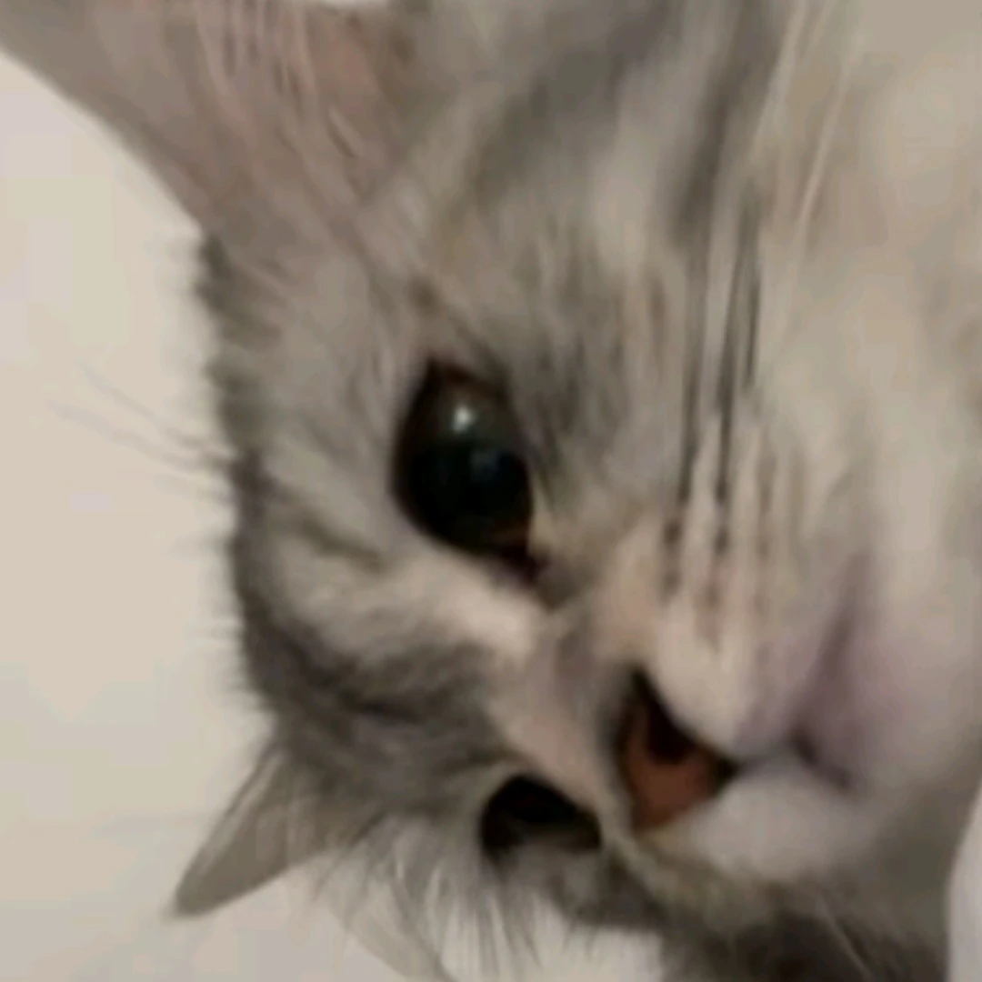 동민