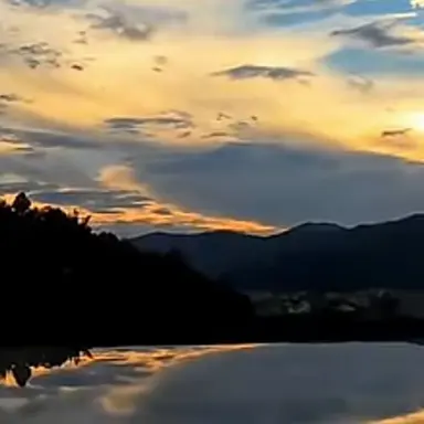 Profile image of 대원들