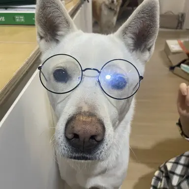 Profile image of 연두