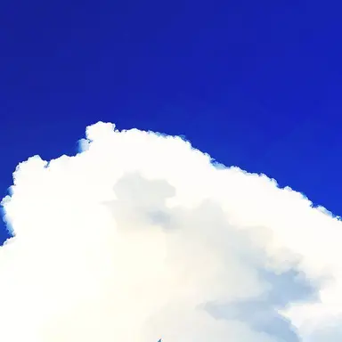 Profile image of 千冬の母