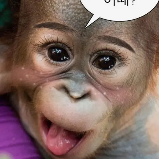 Hamtune의 꾸미고온 우리반 여자애들