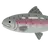 マスオ