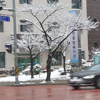 Profile image of 은비