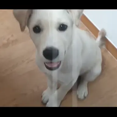 Profile image of 허둥이