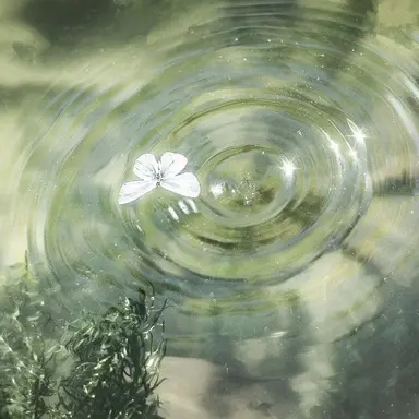 Profile image of 정공룡