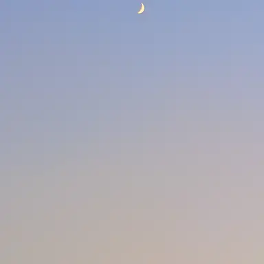Profile image of 家族