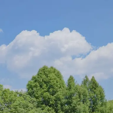 Profile image of 우융