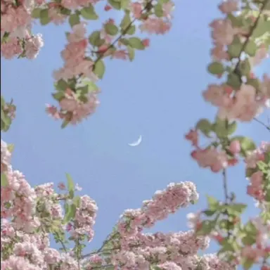 Profile image of 선하