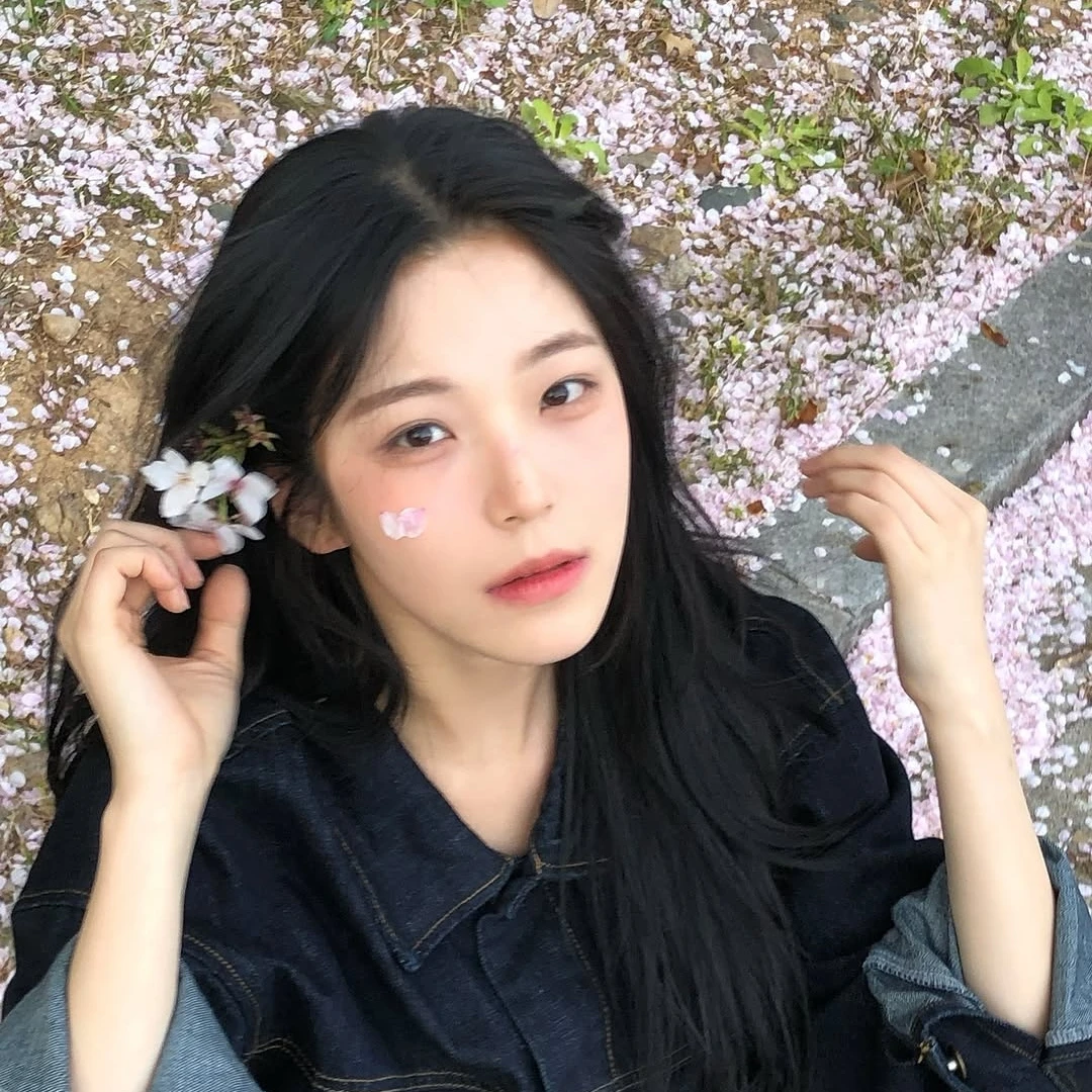 백지헌