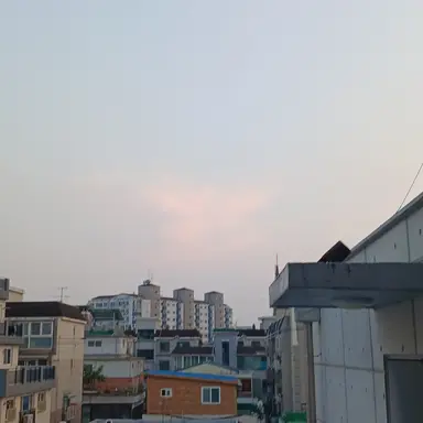 Profile image of 백신우