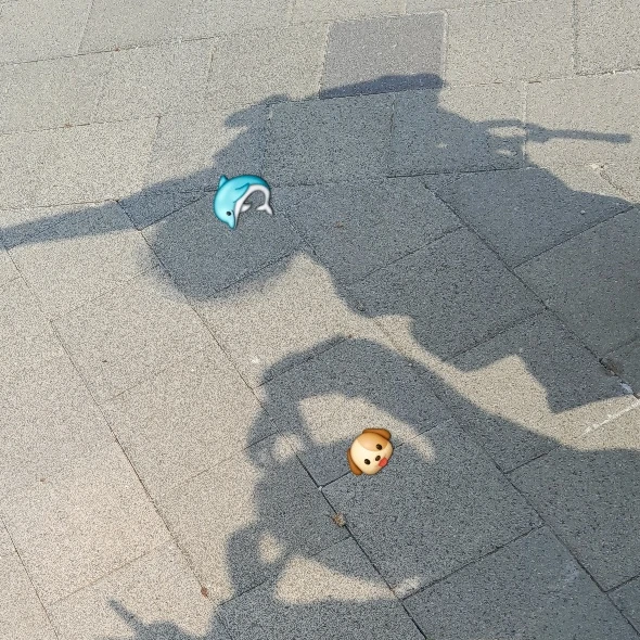 돌고래핑