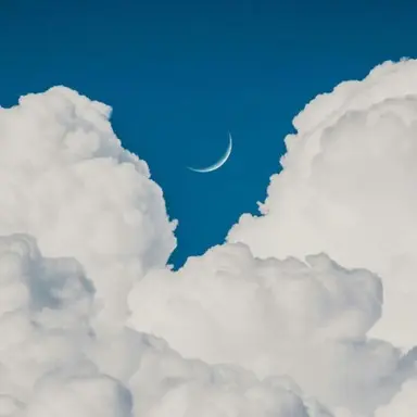 Profile image of 김각별