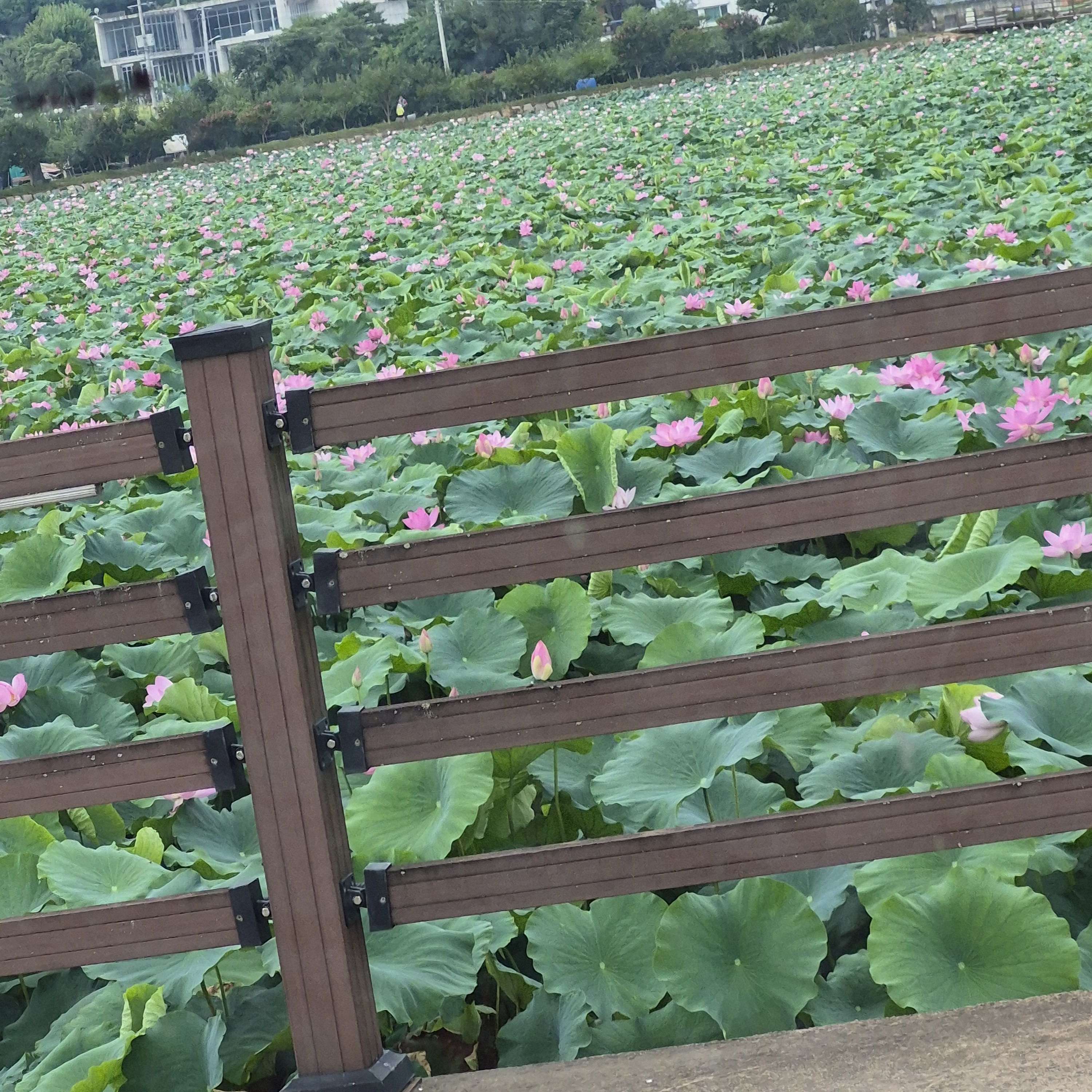 남미새 친구 대표 이미지