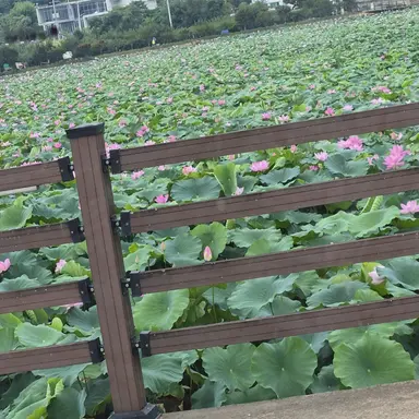 Profile image of 로보
