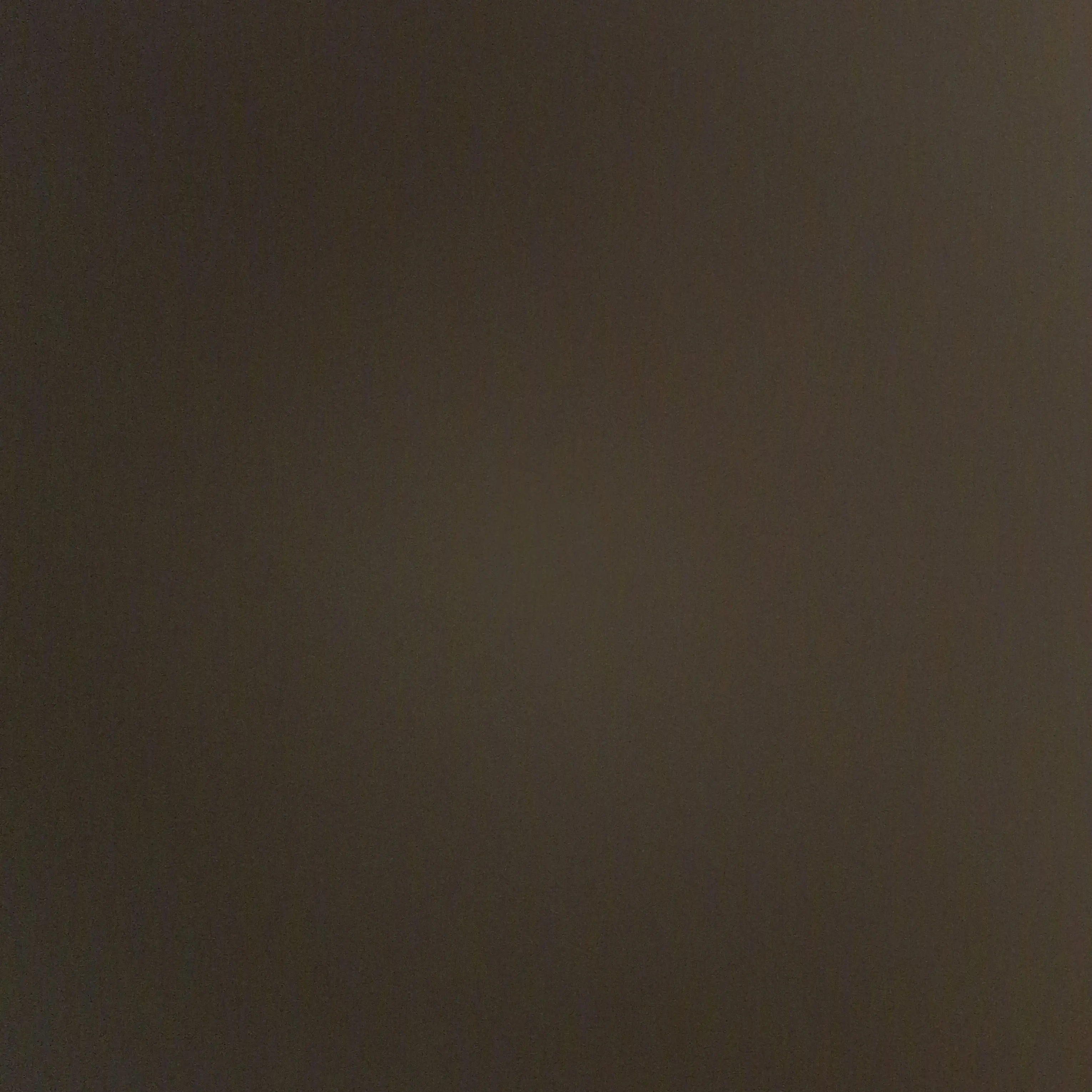 S_t-ay.의 슼즈고