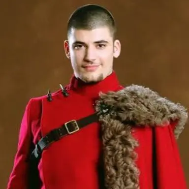 Profile image of Victor krum