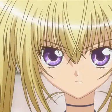 Profile image of 세라