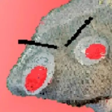 Profile image of 양말빌런